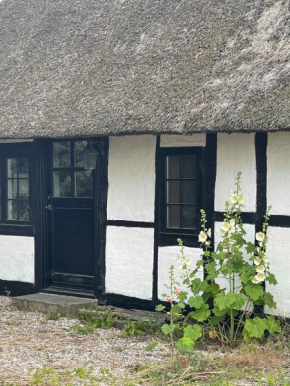Charming Cottage Within Walking To Beach Holeby